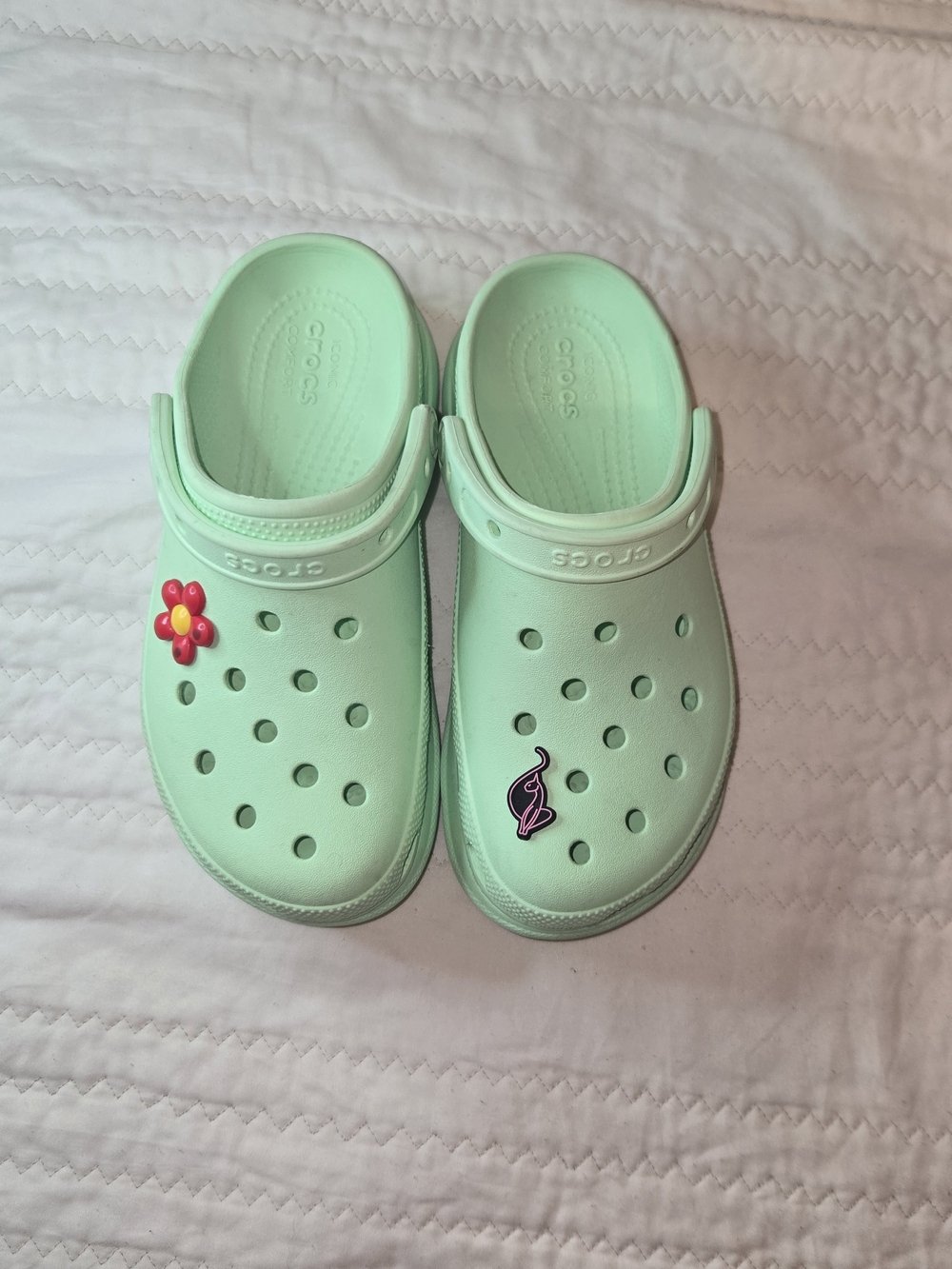 CROCS Women's  Mint Green Classic Clog with Jibbitz